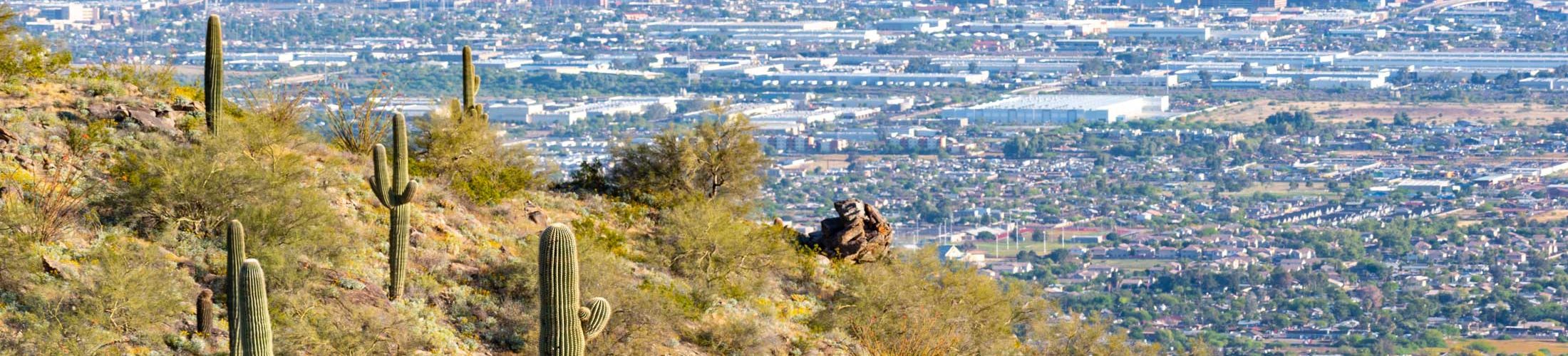 Phoenix desert city skyline